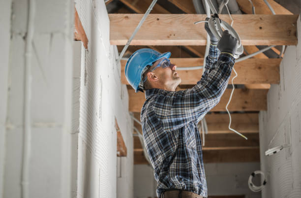 Best Electrical Repair Services  in Audubon, IA