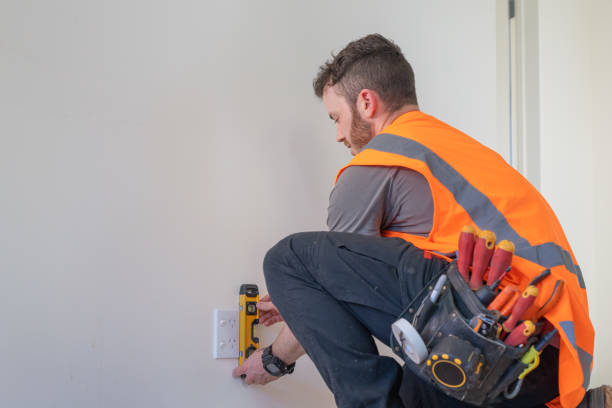 Best Local Electrician Companies  in Audubon, IA